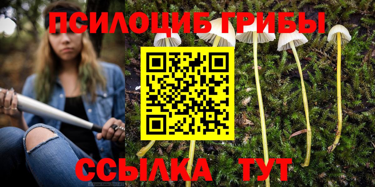 Псилоцибиновые грибы Psilocybe Саров